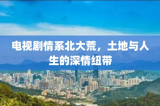 电视剧情系北大荒，土地与人生的深情纽带