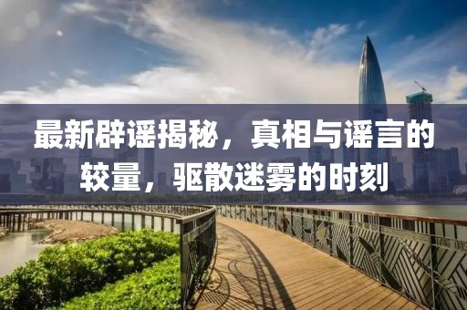 最新辟谣揭秘，真相与谣言的较量，驱散迷雾的时刻