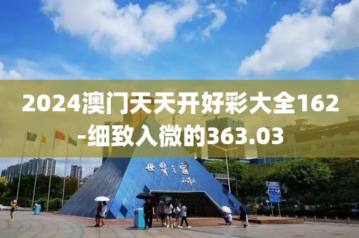 2024澳门天天开好彩大全162-细致入微的363.03