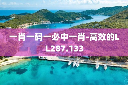 一肖一码一必中一肖-高效的LL287.133
