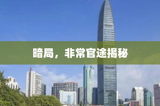 暗局，非常官途揭秘