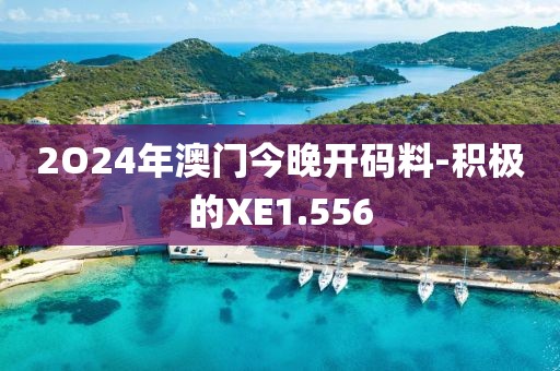 2O24年澳门今晚开码料-积极的XE1.556