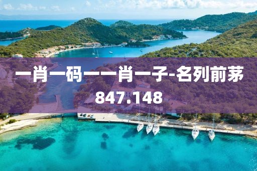 一肖一码一一肖一子-名列前茅847.148