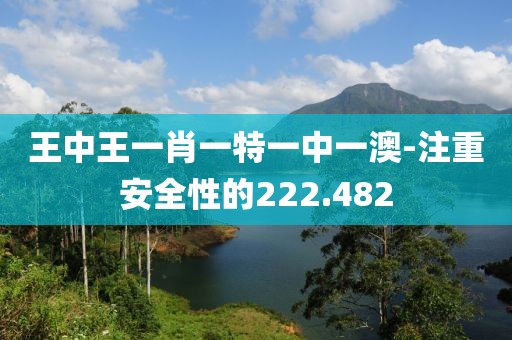 王中王一肖一特一中一澳-注重安全性的222.482