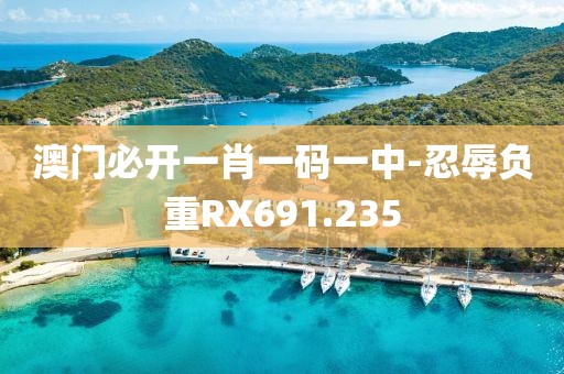 澳门必开一肖一码一中-忍辱负重RX691.235