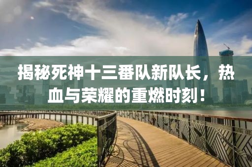 揭秘死神十三番队新队长，热血与荣耀的重燃时刻！