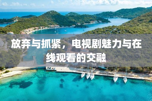 放弃与抓紧，电视剧魅力与在线观看的交融