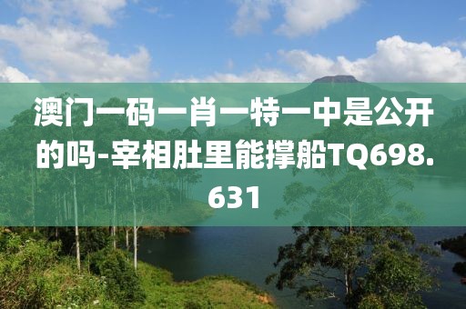 澳门一码一肖一特一中是公开的吗-宰相肚里能撑船TQ698.631