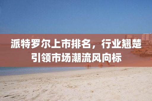 派特罗尔上市排名，行业翘楚引领市场潮流风向标