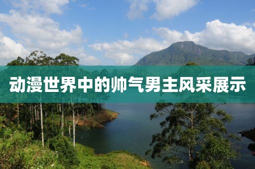 动漫世界中的帅气男主风采展示