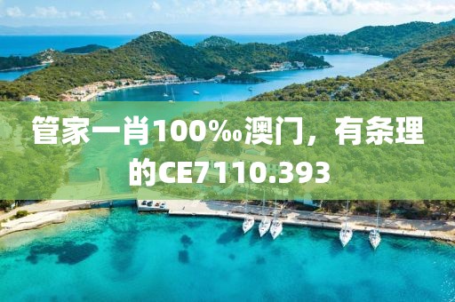 管家一肖100‰澳门，有条理的CE7110.393