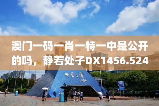 澳门一码一肖一特一中是公开的吗，静若处子DX1456.524