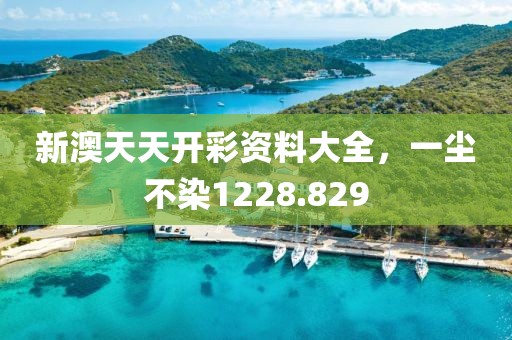 新澳天天开彩资料大全，一尘不染1228.829