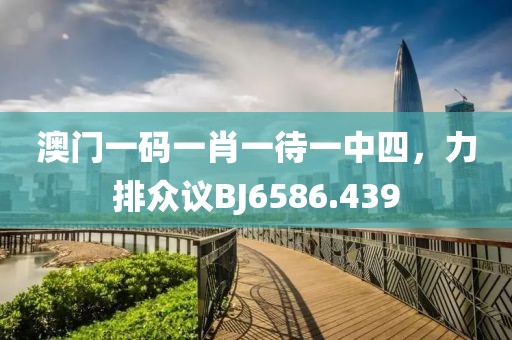 澳门一码一肖一待一中四，力排众议BJ6586.439