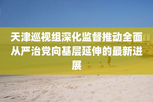 天津巡视组深化监督推动全面从严治党向基层延伸的最新进展