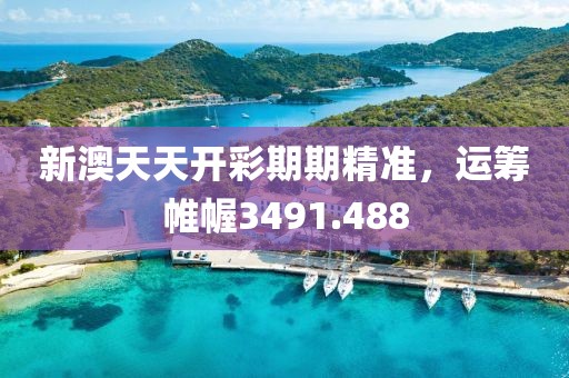 新澳天天开彩期期精准，运筹帷幄3491.488
