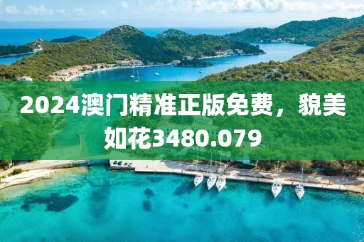 2024澳门精准正版免费，貌美如花3480.079