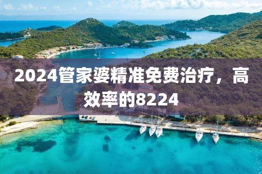 2024管家婆精准免费治疗，高效率的8224