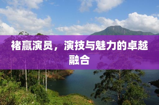 褚赢演员，演技与魅力的卓越融合