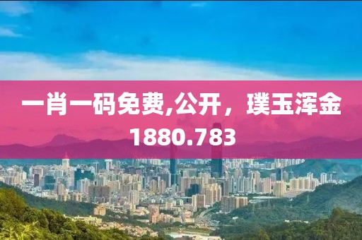 一肖一码免费,公开，璞玉浑金1880.783