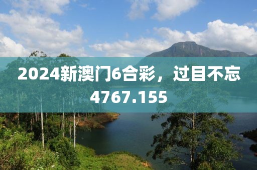 2024新澳门6合彩，过目不忘4767.155