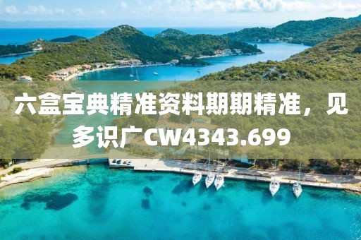 六盒宝典精准资料期期精准，见多识广CW4343.699