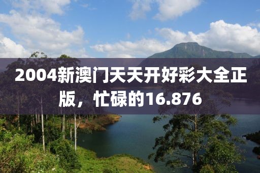2004新澳门天天开好彩大全正版，忙碌的16.876