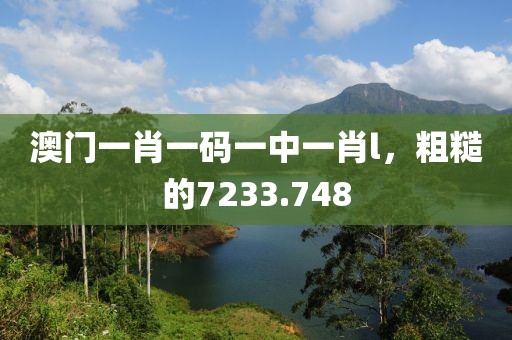 澳门一肖一码一中一肖l，粗糙的7233.748