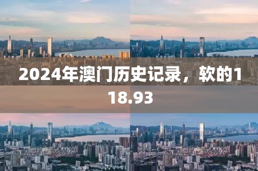 2024年澳门历史记录，软的118.93