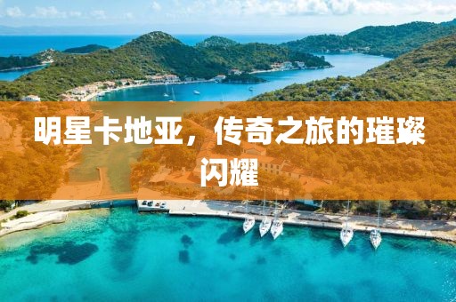 明星卡地亚，传奇之旅的璀璨闪耀