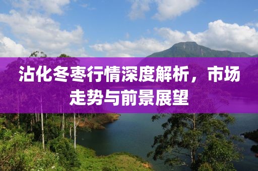 沾化冬枣行情深度解析，市场走势与前景展望