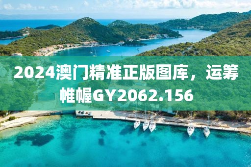 2024澳门精准正版图库，运筹帷幄GY2062.156
