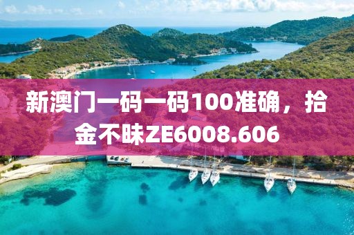 新澳门一码一码100准确，拾金不昧ZE6008.606