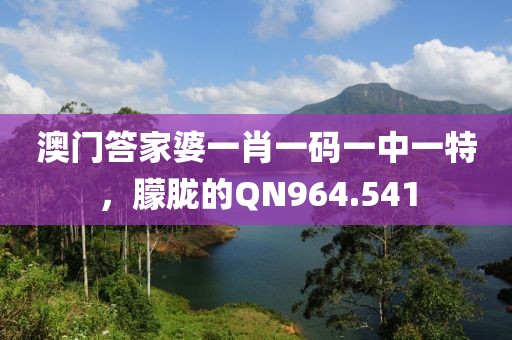 澳门答家婆一肖一码一中一特，朦胧的QN964.541