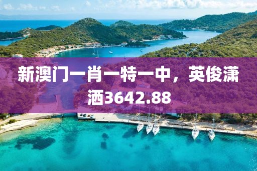 新澳门一肖一特一中，英俊潇洒3642.88