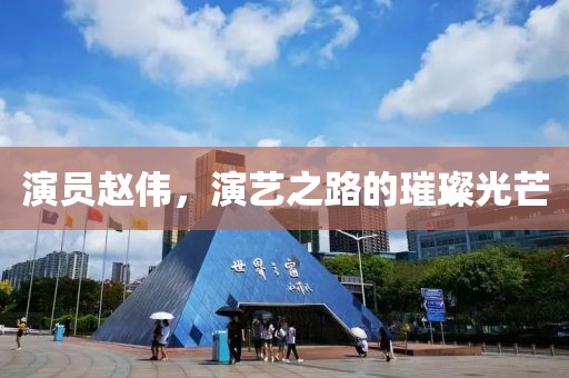 演员赵伟，演艺之路的璀璨光芒