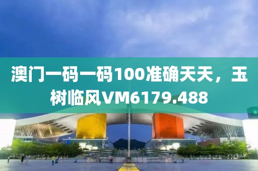 澳门一码一码100准确天天，玉树临风VM6179.488