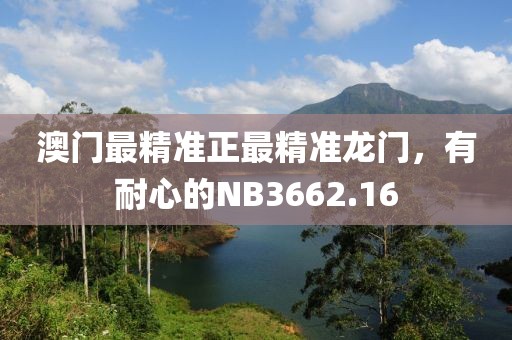 澳门最精准正最精准龙门，有耐心的NB3662.16
