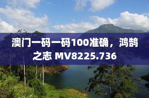 澳门一码一码100准确，鸿鹄之志 MV8225.736