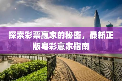 探索彩票赢家的秘密，最新正版粤彩赢家指南