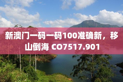 新澳门一码一码100准确新，移山倒海 CO7517.901