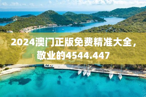 2024澳门正版免费精准大全，敬业的4544.447