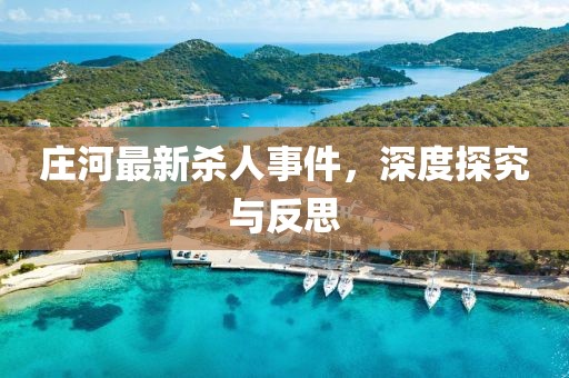 庄河最新杀人事件，深度探究与反思