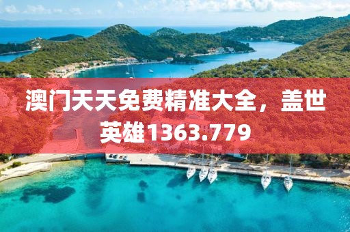 澳门天天免费精准大全，盖世英雄1363.779