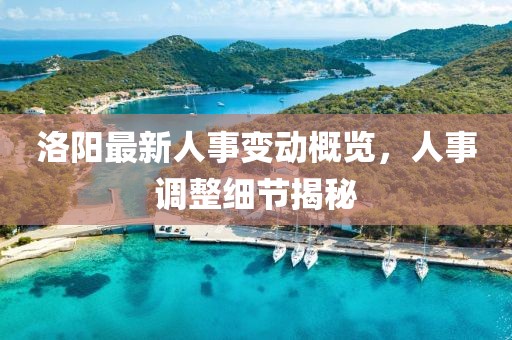 洛阳最新人事变动概览，人事调整细节揭秘