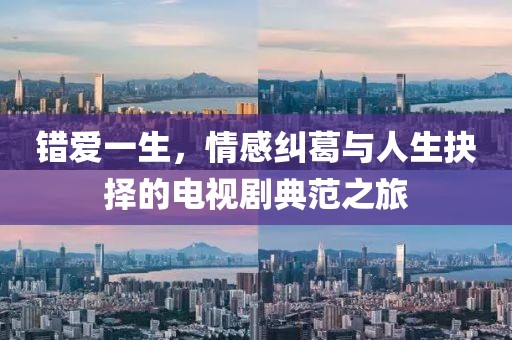 错爱一生，情感纠葛与人生抉择的电视剧典范之旅