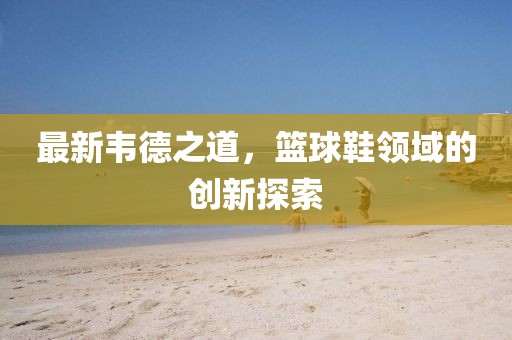 最新韦德之道，篮球鞋领域的创新探索