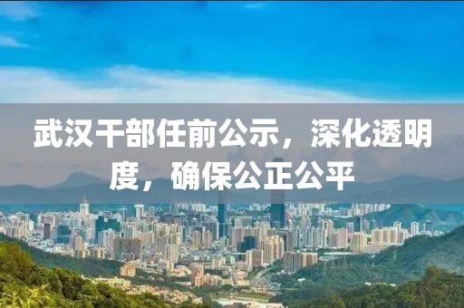 武汉干部任前公示，深化透明度，确保公正公平