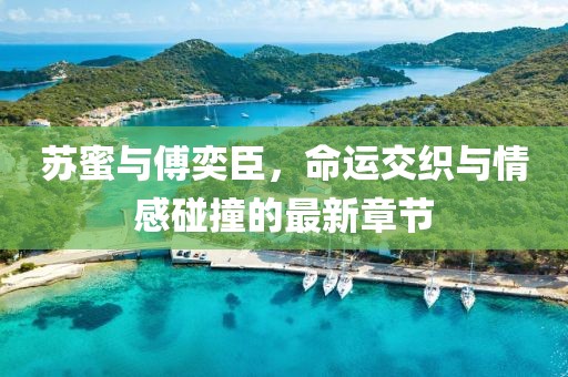 苏蜜与傅奕臣，命运交织与情感碰撞的最新章节