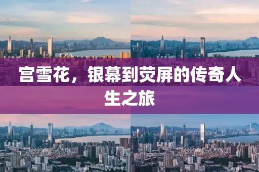 宫雪花，银幕到荧屏的传奇人生之旅